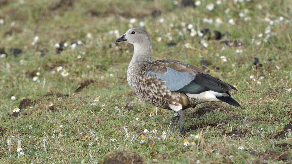 Dhati Walal National Park photo 3