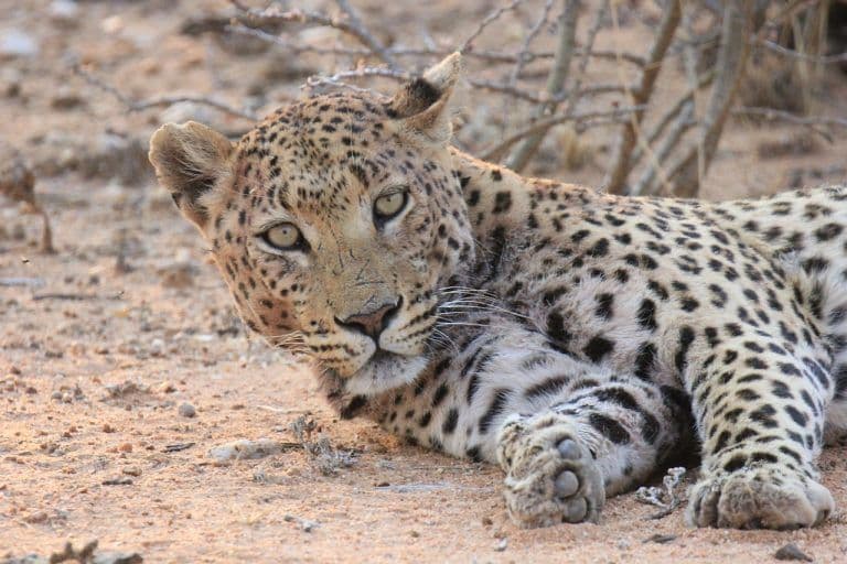 Dhati Walal National Park photo 6