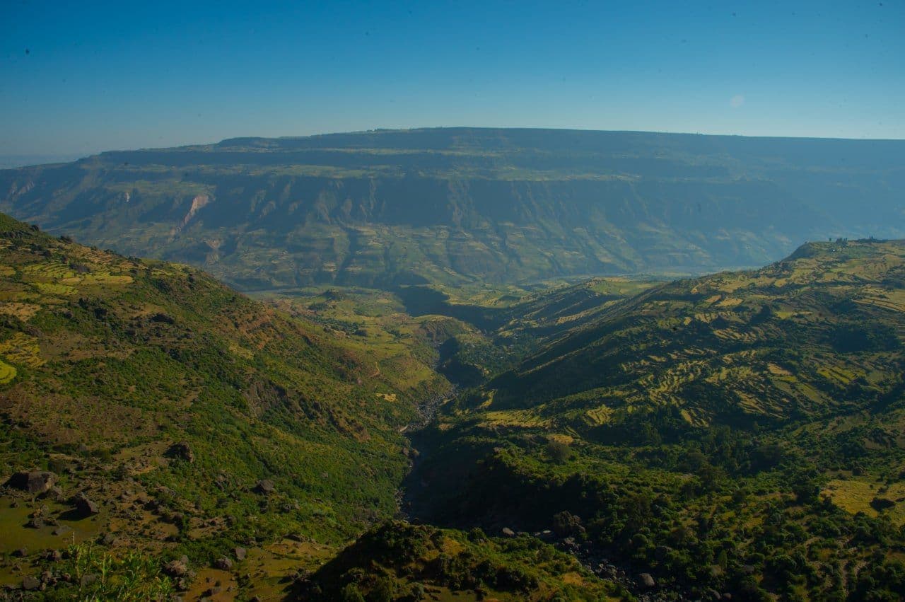 Awash National Park photo 9