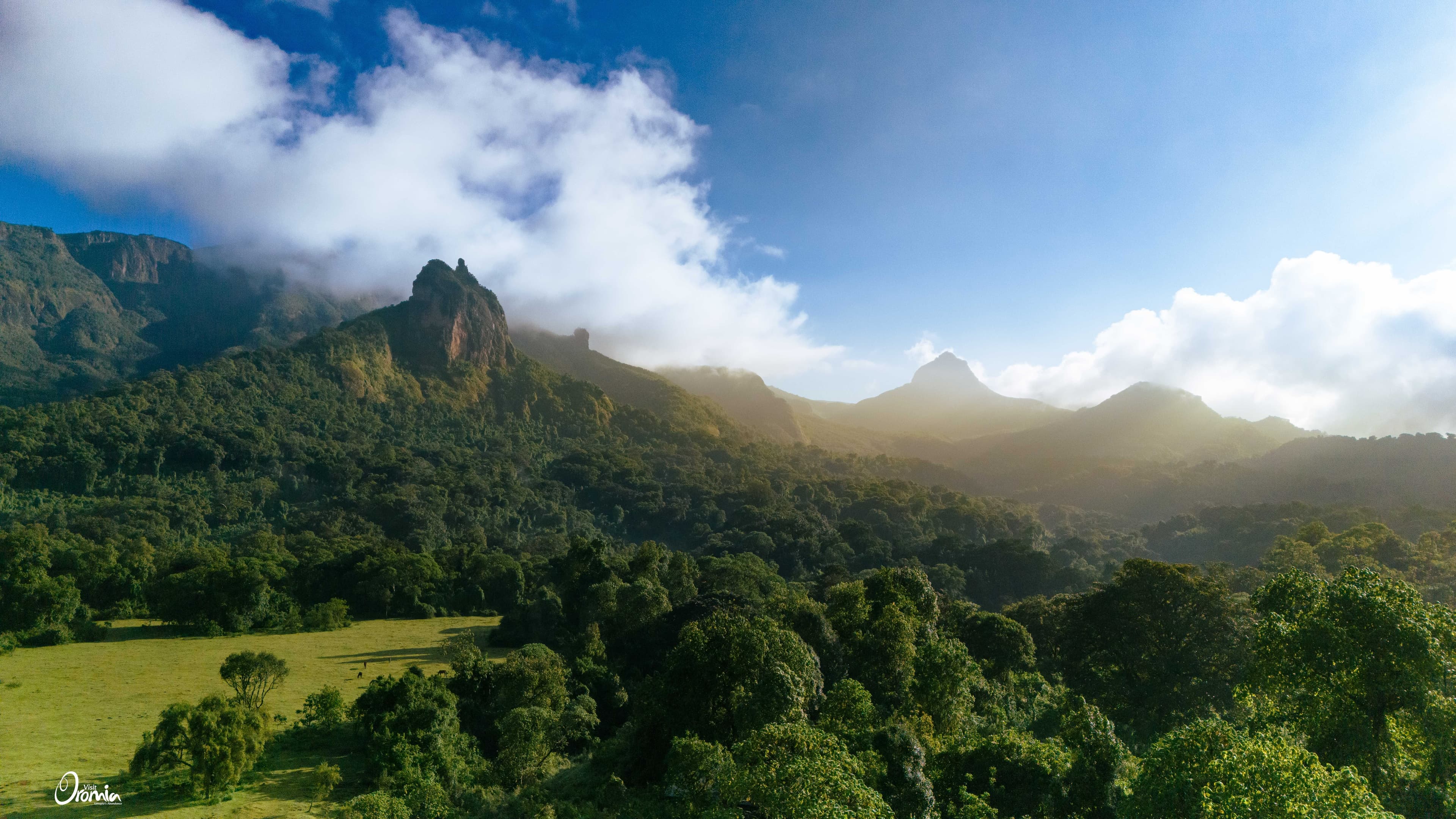Bale Mountains National Park photo 6
