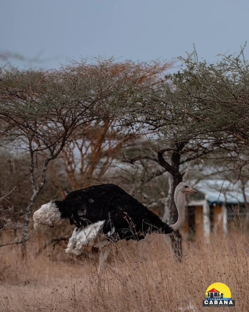 Abijata Shalla National Park overview